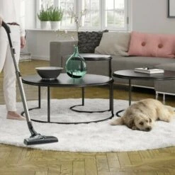 Aspirapolvere Electrolux 900274276 -Rowentus Negozio 91735427 3