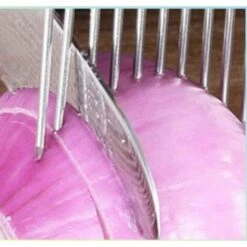 2 Pezzi Pelapatate, Coltello Per Affettare Cipolla In Acciaio Inossidabile Ago Per Carne Tagliapatate, Porta Cipolla Affettatrice Per Cipolla (Blu) -Rowentus Negozio 97072585 5
